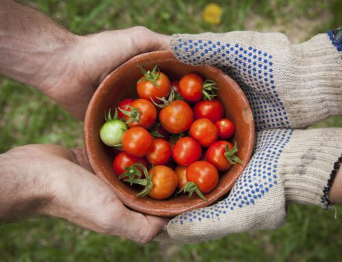 Van het land naar de bestuurskamer: een gesprek over leiderschap in de agri-foodsector